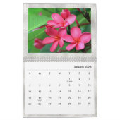 Plumeria Tropical Flowers Foto Kalender (Jan 2026)