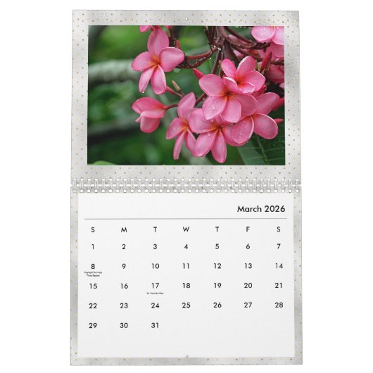 Plumeria Tropical Flowers Foto Kalender (Mar 2026)