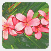 plumeria vierkante sticker (Voorkant)