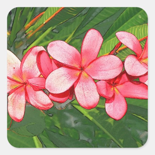 plumeria vierkante sticker (Voorkant)