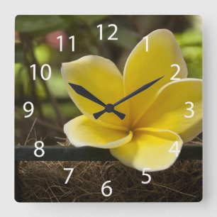 Plumeria Wall Clock Vierkante Klok