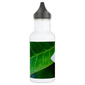 plumeria waterfles (Links)