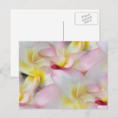 Plumeria Waterverf Briefkaart (Voorkant / Achterkant)