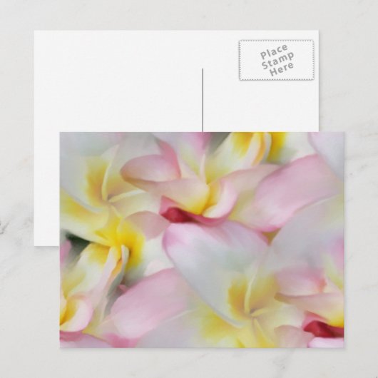 Plumeria Waterverf Briefkaart (Voorkant / Achterkant)