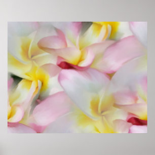 Plumeria Waterverf Print