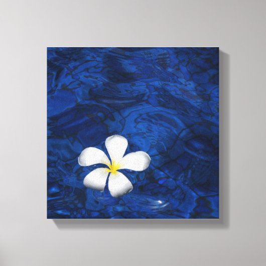 Plumeria witte bloem bloemenpatroon canvas afdruk (Voorkant)