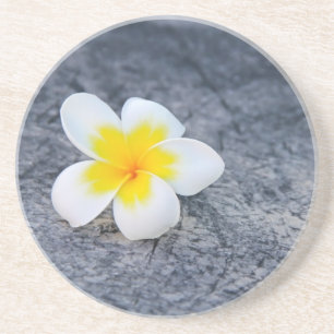 Plumeria Zandsteen Onderzetter