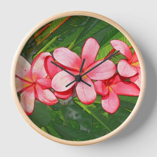 Plumeria's