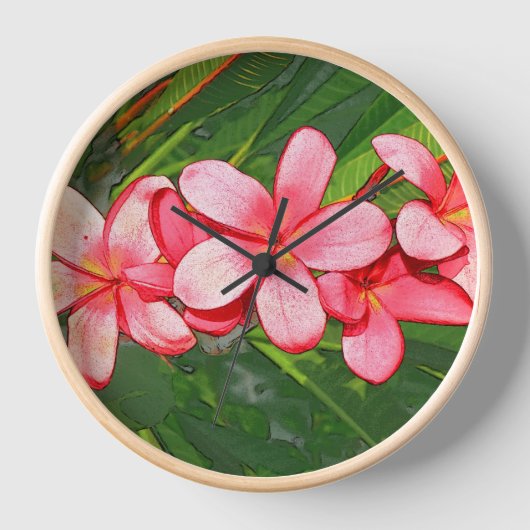 Plumeria's (Voorkant)