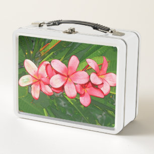 Plumeria's