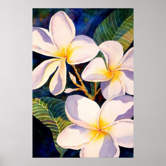 Plumerias Aglow Poster (Voorkant)