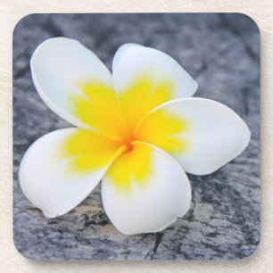 Plumeria's Bier Onderzetter