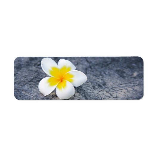 Plumeria's Etiket (Voorkant)