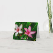 Plumerias in wit en roze gevouwen Wenskaart Kaart (Voorkant)