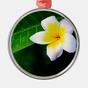 Plumeria's Metalen Ornament