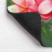 Plumeria's Muismat (Hoek)