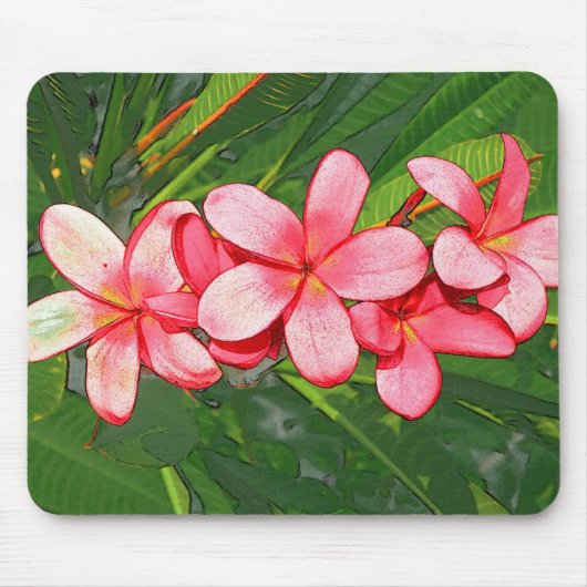 Plumeria's Muismat (Voorkant)