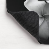 Plumerias Muismat (Hoek)