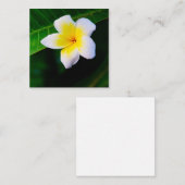 Plumeria's Notitiekaartje (Voorkant / Achterkant)