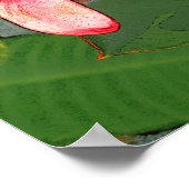 Plumeria's Poster (Hoek)