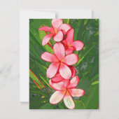 Plumerias roze notitiekaartje (Voorkant)