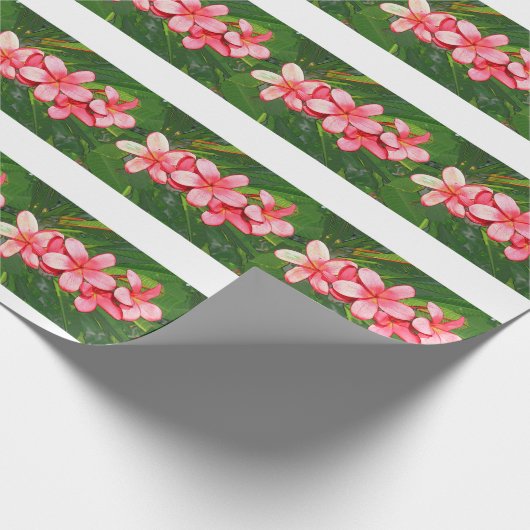 Plumerie Cadeaupapier (Hoek)