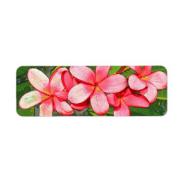 Plumerie Etiket