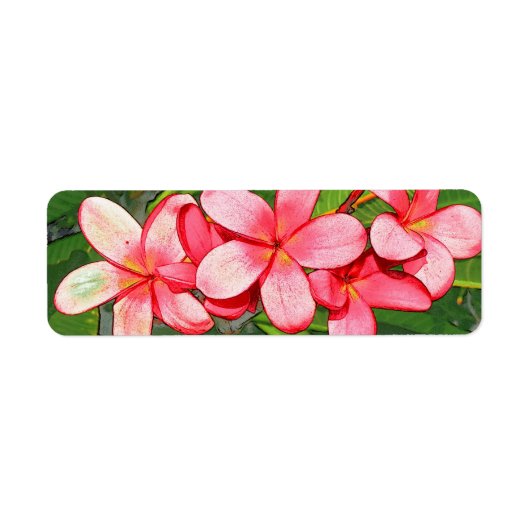 Plumerie Etiket (Voorkant)