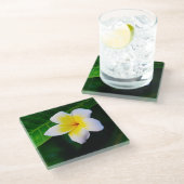 Plumerie Glazen Onderzetter (Schuin)