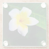 Plumerie Glazen Onderzetter (Achterkant)
