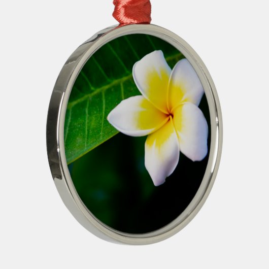 Plumerie Metalen Ornament (Rechts)
