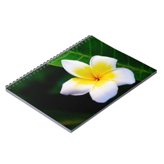 Plumerie Notitieboek (Linkerzijde)