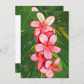 Plumerie Notitiekaartje (Voorkant / Achterkant)