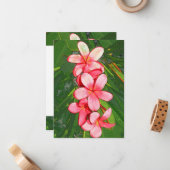 Plumerie Notitiekaartje (Voorkant / Achterkant in situ)