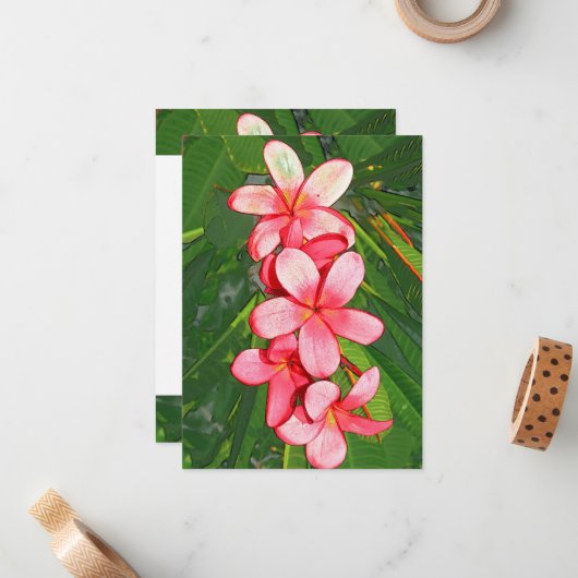 Plumerie Notitiekaartje (Voorkant / Achterkant in situ)