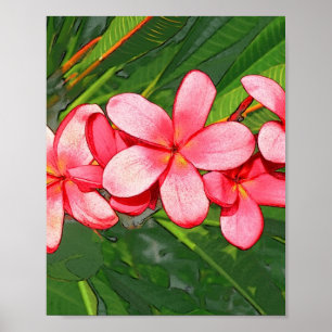Plumerie Poster
