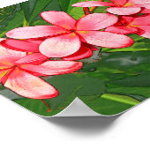 Plumerie Poster (Hoek)