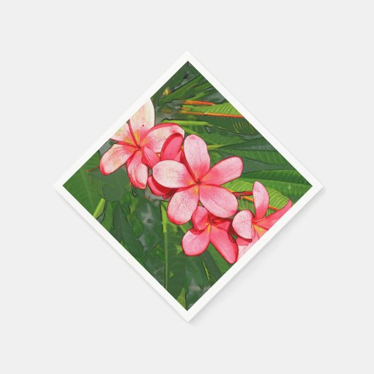 Plumerie Servet (Hoek)