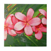 Plumerie Tegeltje (Voorkant)