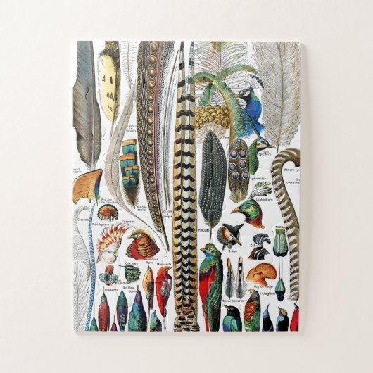 Plumes door Adolphe Millot Legpuzzel (Verticaal)