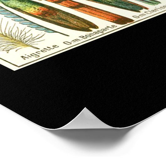 Plumes Poster (Hoek)