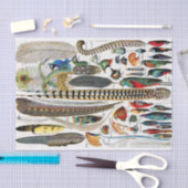 Plumes Tissuepapier (Craft)