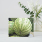 Plump Melon Briefkaart (Staand voorkant)