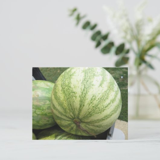 Plump Melon Briefkaart (Staand voorkant)