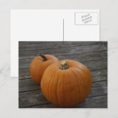  Plump Pumpkins Briefkaart (Voorkant / Achterkant)