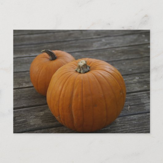  Plump Pumpkins Briefkaart (Voorkant)