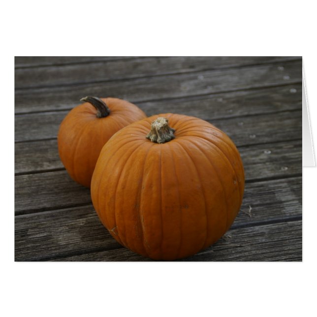  Plump Pumpkins Wenskaart (Voorkant Horizontaal)