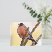 Plump Robin Briefkaart (Staand voorkant)