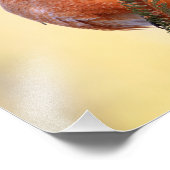 Plump Robin Foto Afdruk (Hoek)