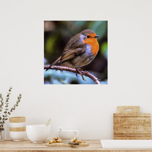 Plump Robin Perched on a Branch Wildlife Art Poster (Keuken)